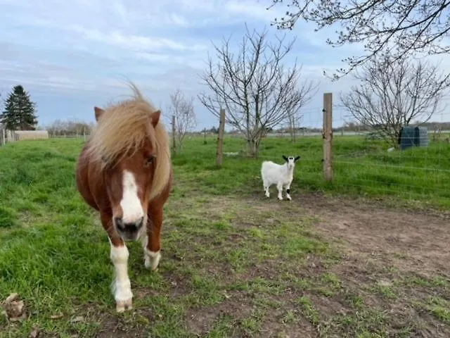 Au Gré De La Loire Piscine Et * Saint-Mathurin (Maine-et-Loire)